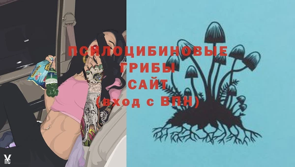стафф Гвардейск