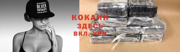 трава Гатчина