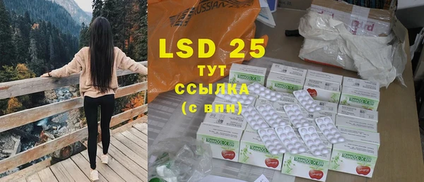 дживик Семилуки
