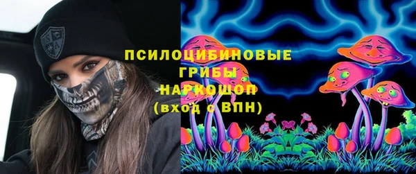 трава Гатчина
